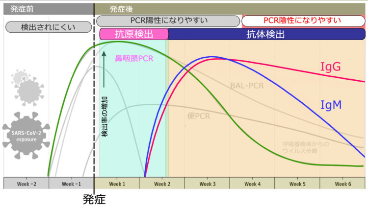 と pcr 検査 の 違い 抗原 検査 コロナ